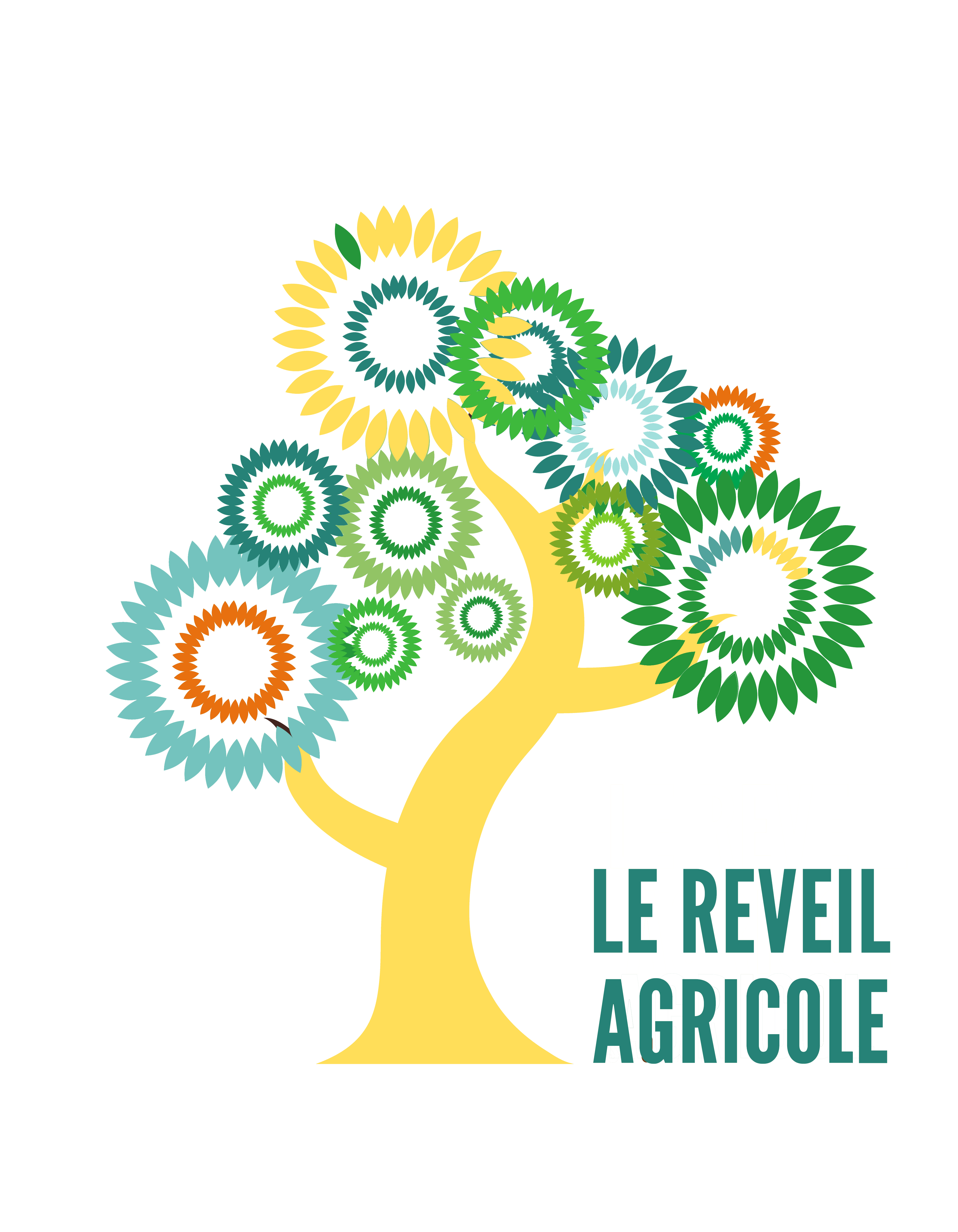 ASSOCIATION LE REVEIL AGRICOLE MARTINIQUE