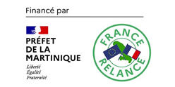 01-france-relance.png